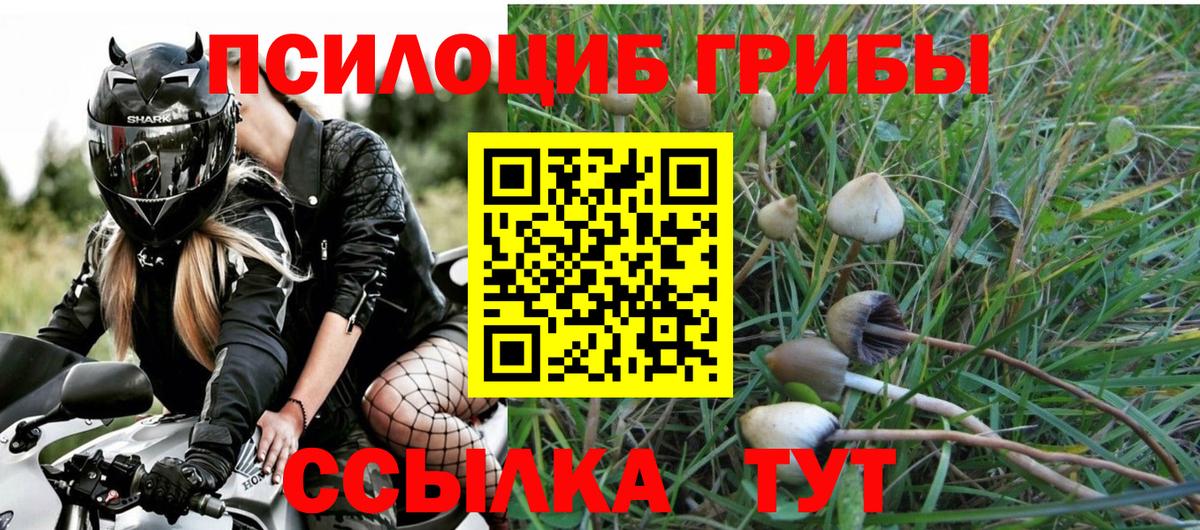 Галлюциногенные грибы Magic Shrooms Бутурлиновка
