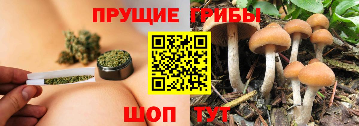 Бутурлиновка  Галлюциногенные грибы GOLDEN TEACHER  Псилоцибиновые грибы мухоморы  Вход с VPN 
